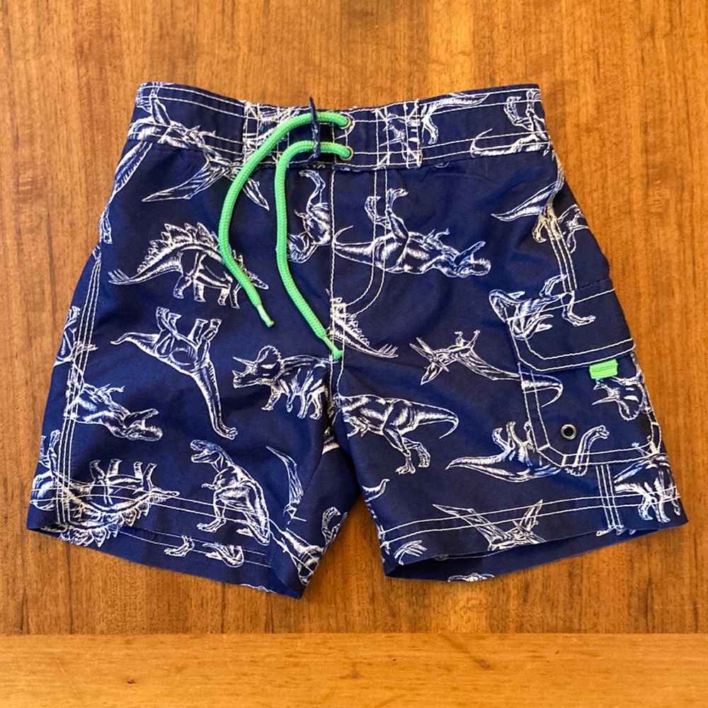 Carter's Boys Swim Trunks Blue with Green Dinosaur Print 2T